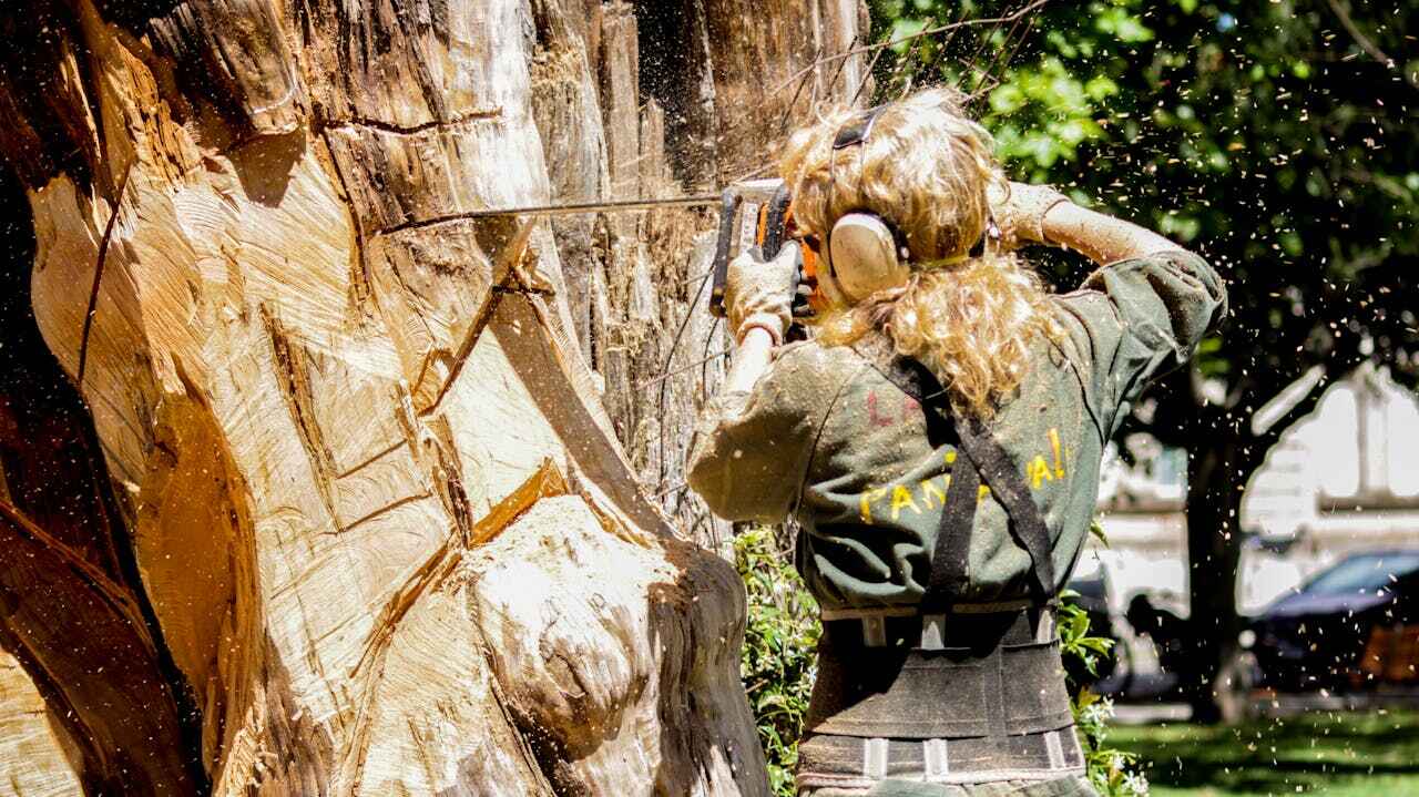 Best Tree Cutting Near Me  in Wells, MN